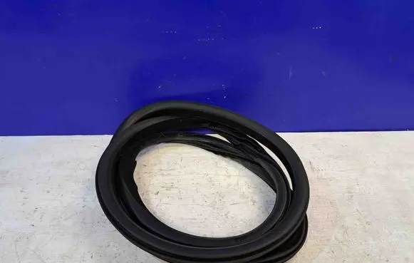 Volvo XC70 Rubber seal rear door 8663935