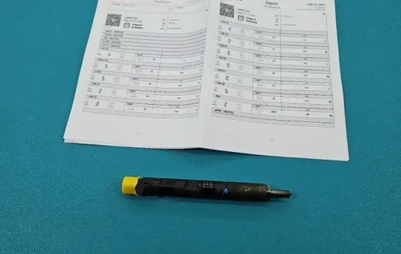 Renault Megane II Fuel injector EJBR05102D IMPRK1439385