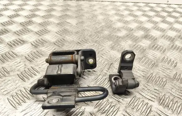 Volkswagen Caddy Front door hinge set 1T0831412C