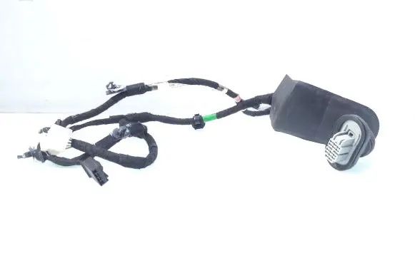 Rear door wiring loom