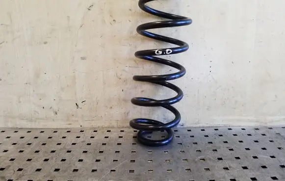 Volkswagen Tiguan Rear coil spring