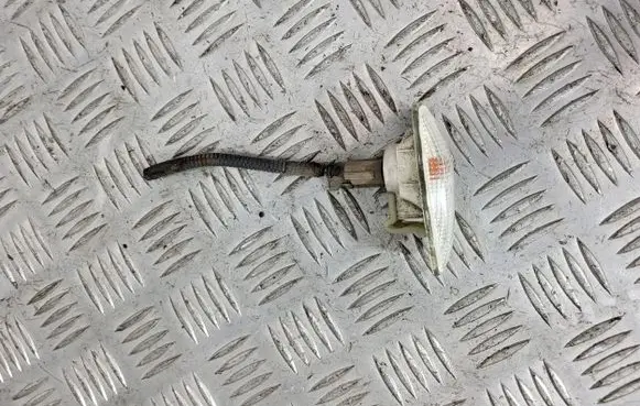 Hyundai Terracan Front fender indicator light