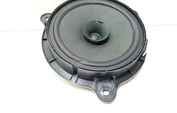 Renault Captur Rear door speaker 57744928156