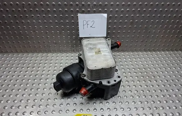 Nissan Qashqai Oil filter mounting bracket S27725888 152085948R