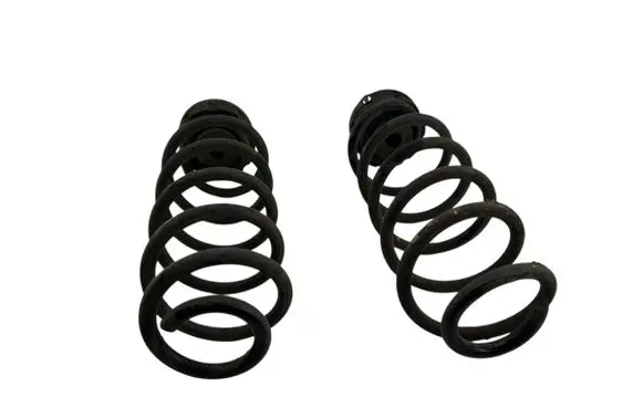 Rear coil spring
