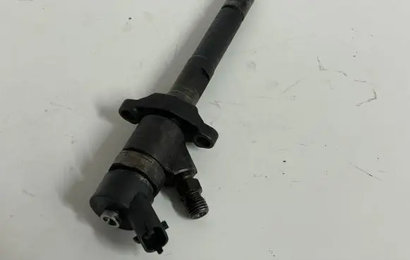 Citroen C4 I Picasso Fuel injector 0445110188 892080