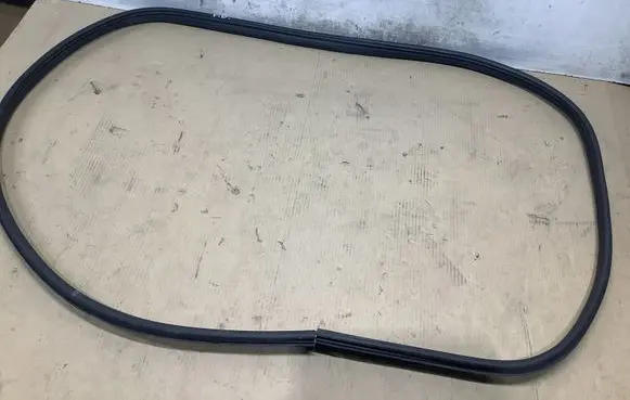 Dacia Spring Front door rubber seal 