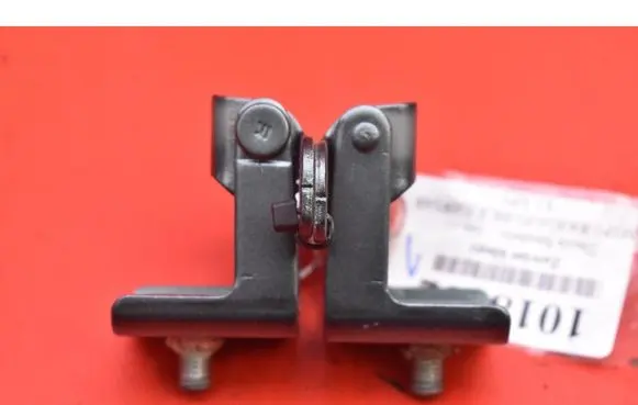 Dacia Sandero Tailgate/trunk/boot hinge 844002173R