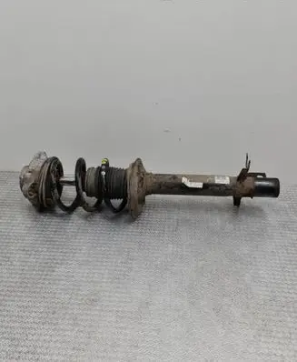 Citroen Jumper Front shock absorber with coil spring 50707078