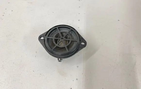Panel speaker