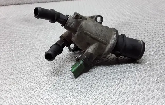 Thermostat/thermostat housing