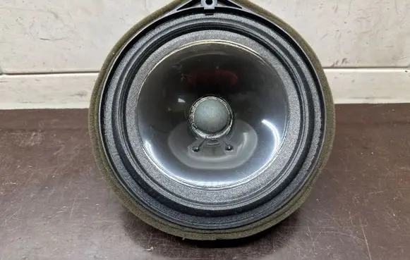 Front door speaker