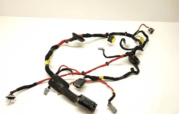 Hyundai Ioniq Front door wiring loom 91611G2020