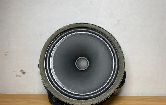 Jaguar F-Pace Front door speaker GX7318808DC C2256