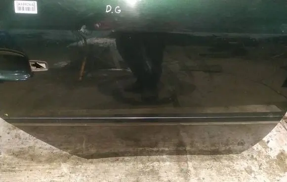 Opel Signum Rear door trim (molding) 