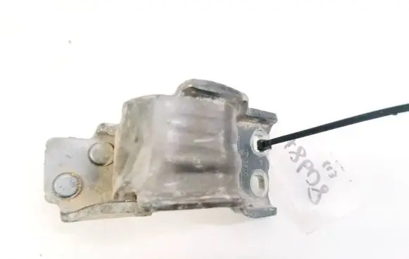 Volkswagen PASSAT B6 Tailgate/trunk/boot hinge 3C9827302D