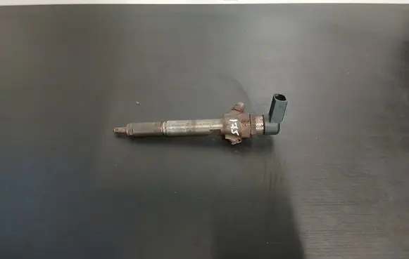 Nissan Qashqai Fuel injector H8200294788