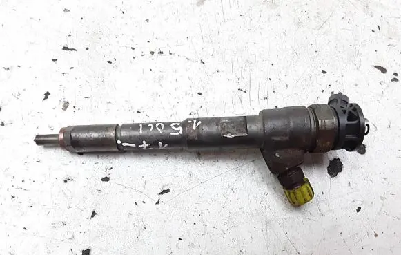 Renault Kangoo II Fuel injector 0445110652