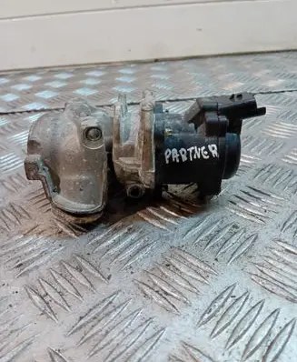 Peugeot Partner EGR valve TN125 500022