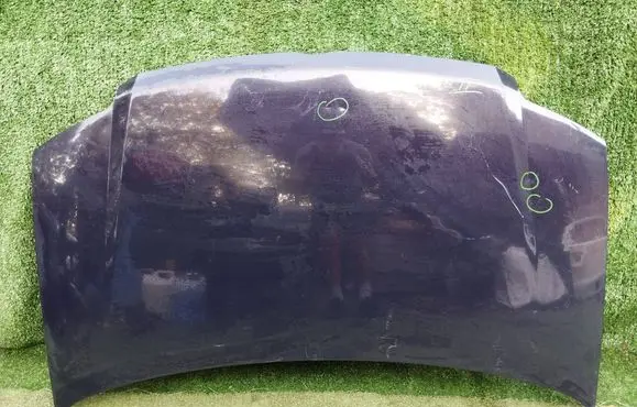Engine bonnet/hood