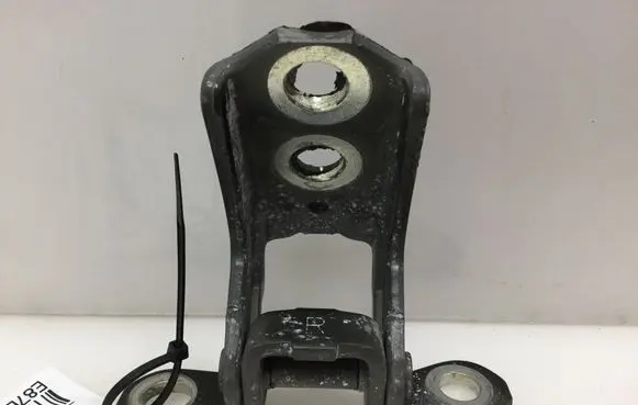 Nissan Juke I F15 Front door lower hinge 