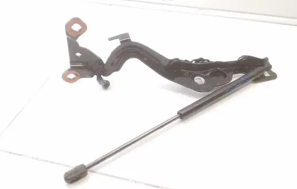 Ford Mustang Mach-E Engine bonnet/hood hinges LJ8BR16C964AE LJ8BR16C826AB