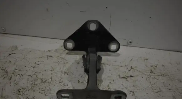 BMW X5 E70 Tailgate/trunk/boot hinge 14187910