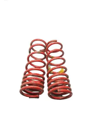Rear coil spring