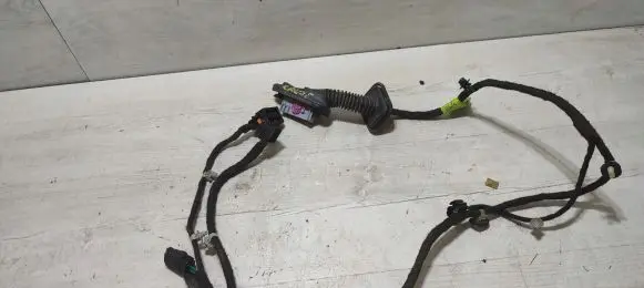 Chevrolet Cruze Rear door wiring loom 95195969