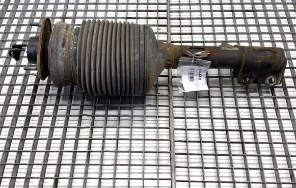 Lexus RX III Front shock absorber/damper 4802048070