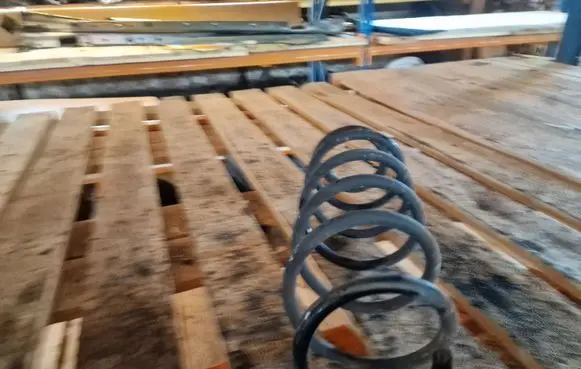 Renault Laguna III Rear coil spring