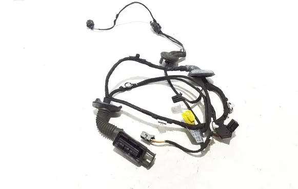 Other wiring loom