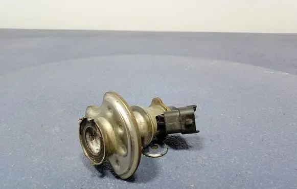 Skoda Octavia 985 Fuel injector 7LA131113A