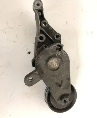 Skoda Octavia Mk1 (1U) Alternator belt tensioner 950434