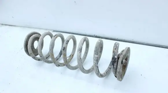 Skoda Octavia Mk2 (1Z) Rear coil spring