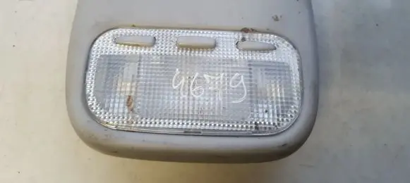 Peugeot 407 Front seat light 9648255977