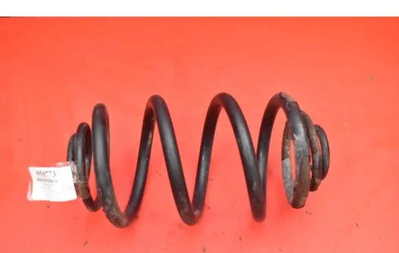 Renault Trafic II (X83) Rear coil spring