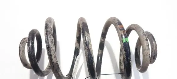 Volkswagen PASSAT B5.5 Rear coil spring