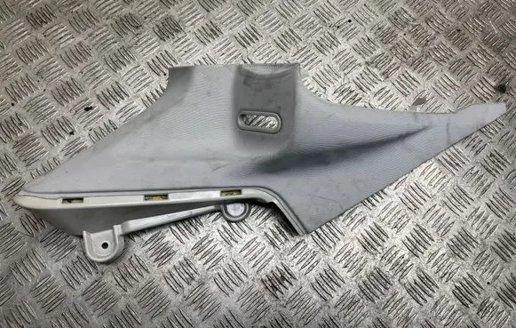 Mercedes-Benz CLS C218 X218 (C) pillar trim A2186900926 106409L