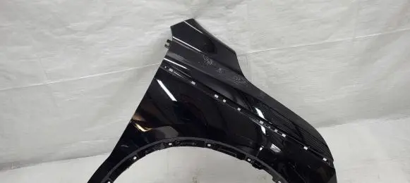 Renault Koleos II Fender
