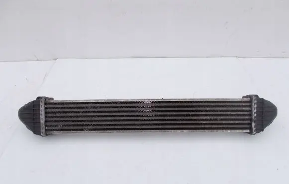 Mercedes-Benz A W169 Intercooler radiator A1695000000