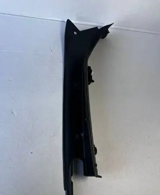 Rear/tail light trim molding