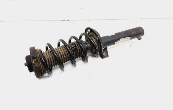 Volkswagen PASSAT B7 USA Front shock absorber/damper 561413031