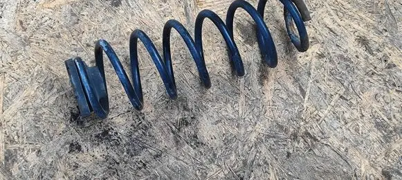 Rear coil spring