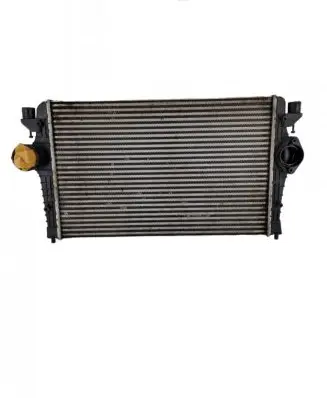 Volkswagen Sharan Intercooler radiator 7M3145804