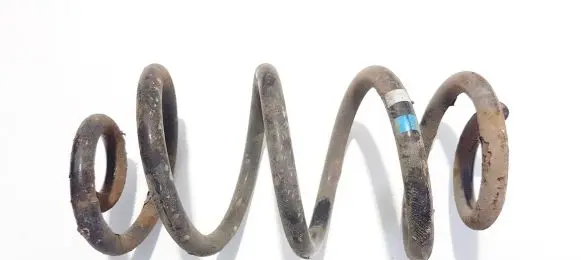 Nissan Qashqai Rear coil spring