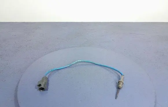 Interior temperature sensor