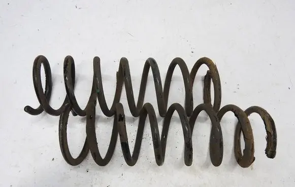 Rear coil spring