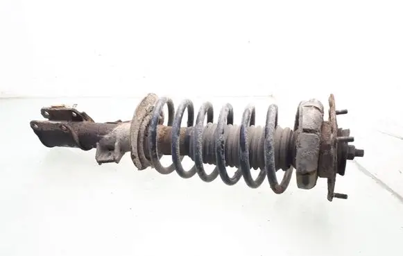 Front shock absorber with coil spring