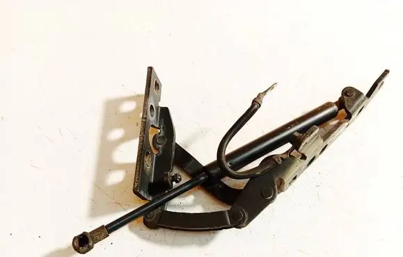 BMW X5 E53 Engine bonnet/hood hinges 41618402173